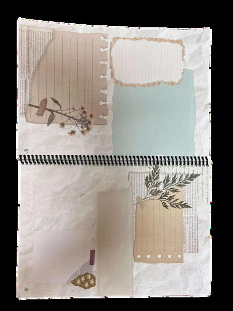 Présentation du carnet d'autobiographie créative